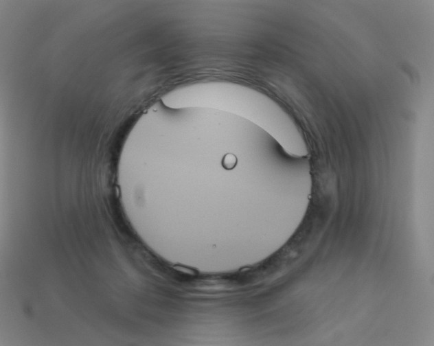 X0000113550316200910161440