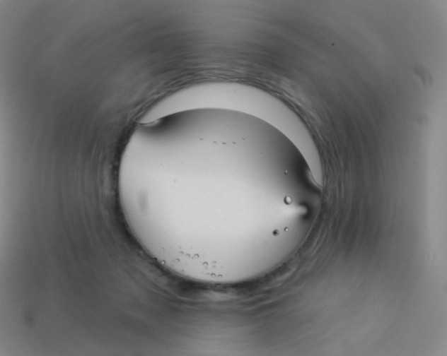 X0000113550317200910161440