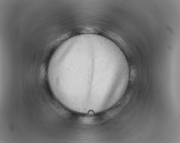 X0000113550318200910161440