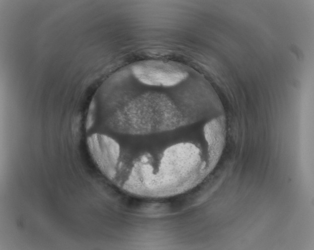 X0000113550319200910161440