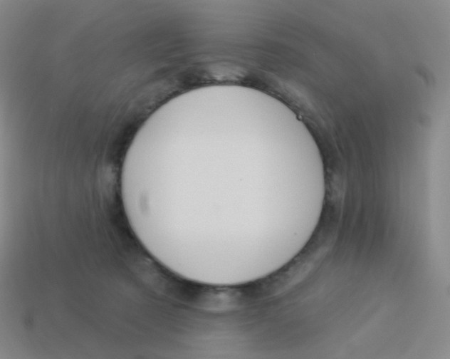 X0000113550321200910161440