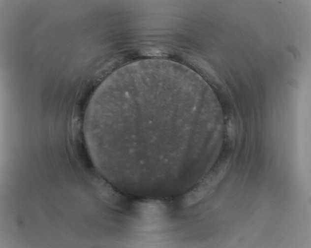 X0000113550322200910161440