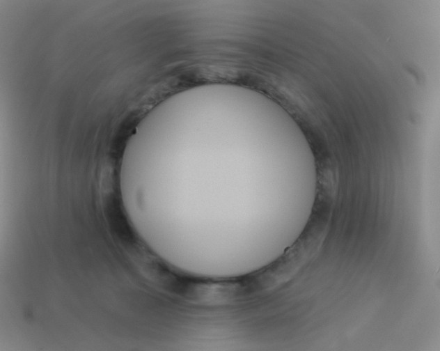 X0000113550323200910161440
