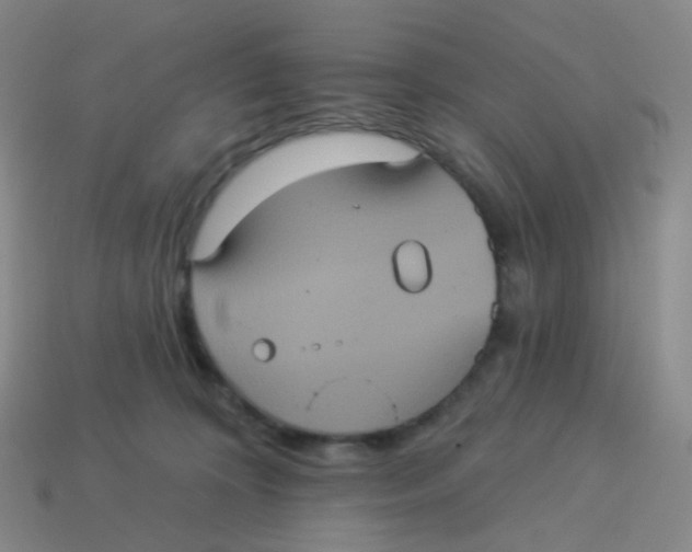 X0000113550324200910161440