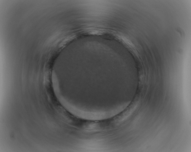 X0000113550325200910161440