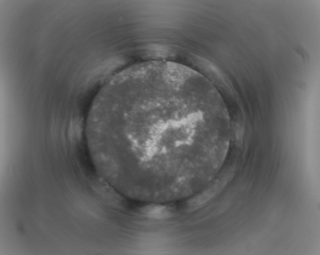 X0000113550326200910161440
