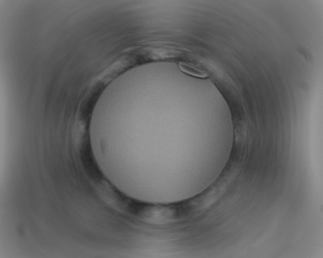 X0000113550327200910161440