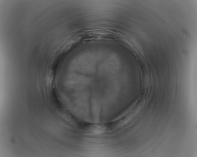 X0000113550328200910161440