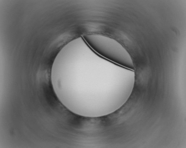 X0000113550329200910161440