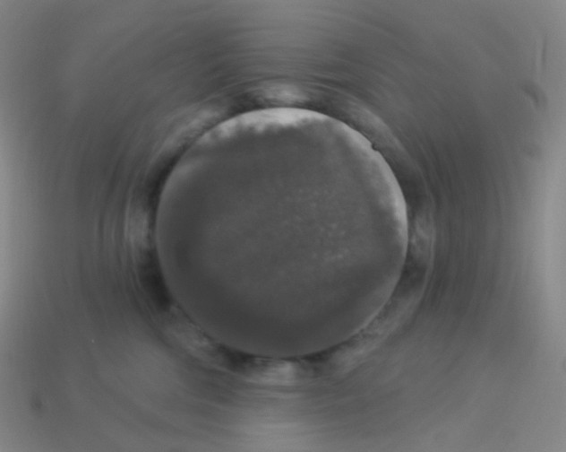 X0000113550330200910161440