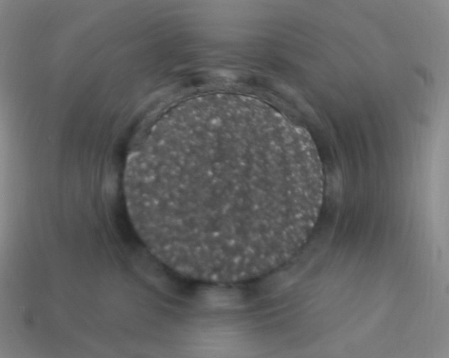X0000113550331200910161440