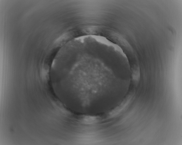 X0000113550332200910161440
