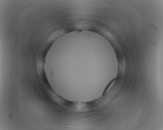 X0000113550333200910161440