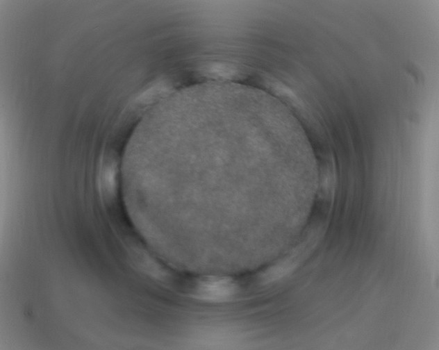 X0000113550334200910161440