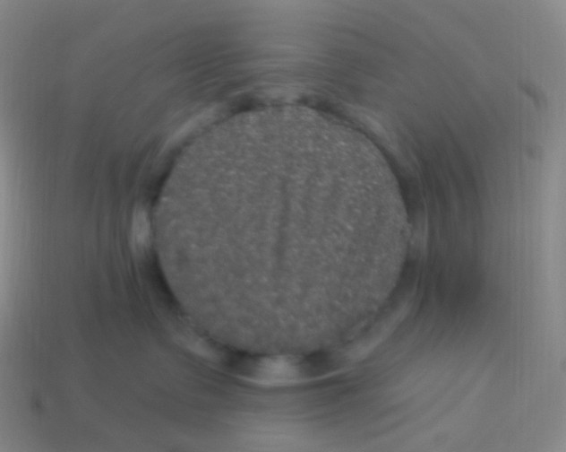 X0000113550335200910161440