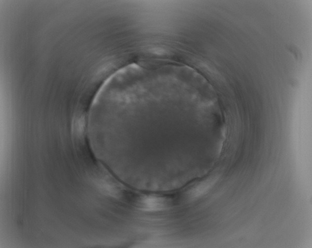 X0000113550336200910161439