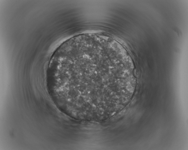 X0000113550337200910161439
