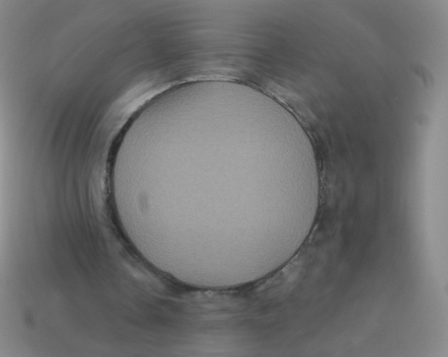 X0000113550338200910161439