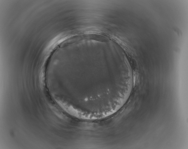 X0000113550339200910161439