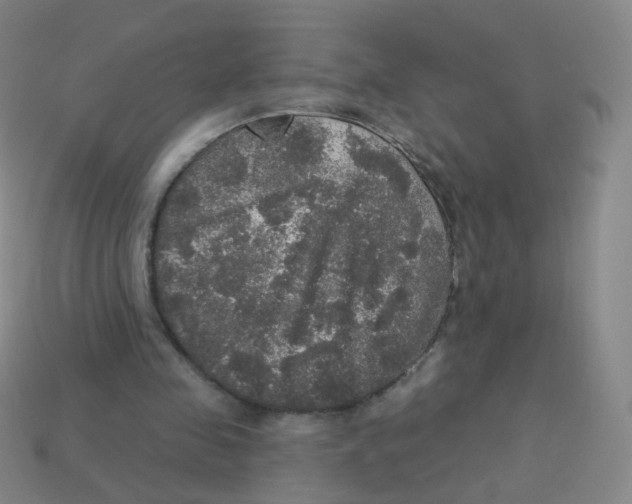 X0000113550341200910161439