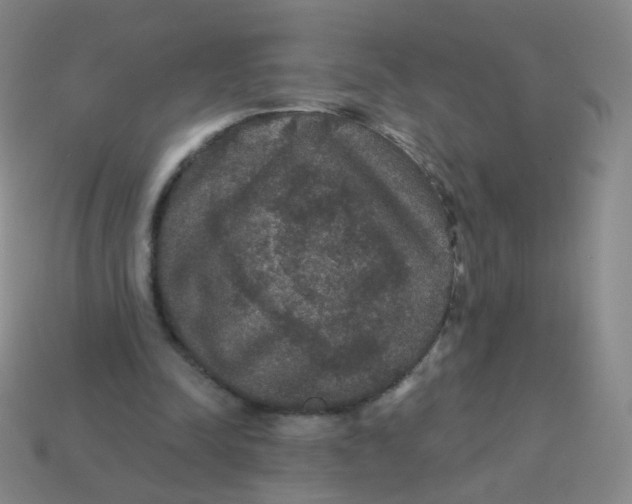 X0000113550342200910161439