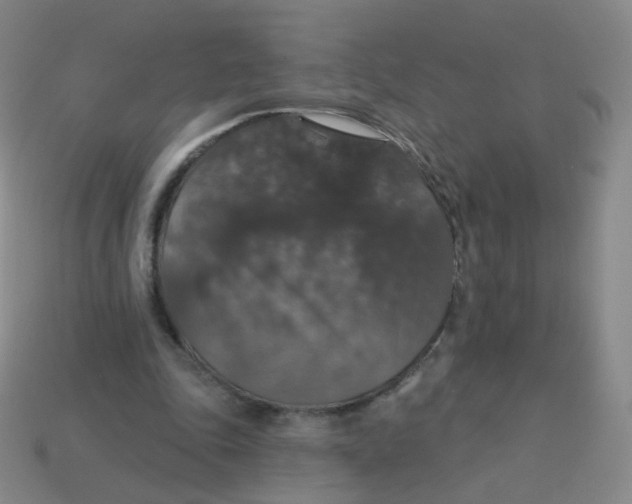 X0000113550343200910161439