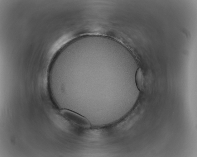 X0000113550344200910161439