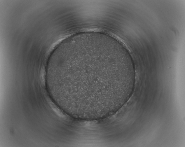 X0000113550345200910161439