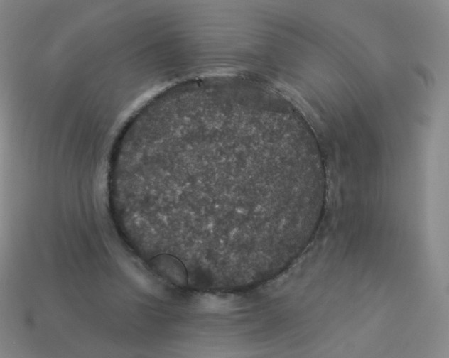 X0000113550346200910161439