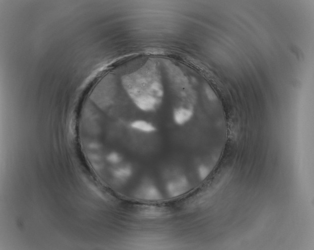 X0000113550347200910161439