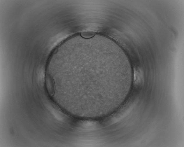 X0000113550348200910161439