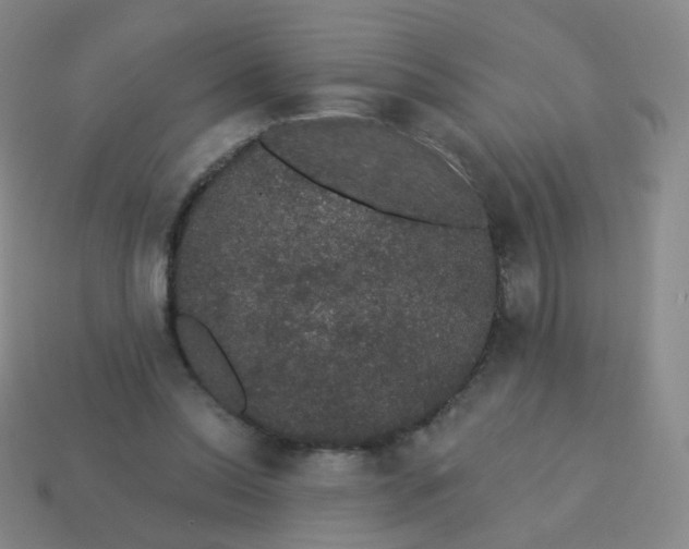 X0000113550350200910161439