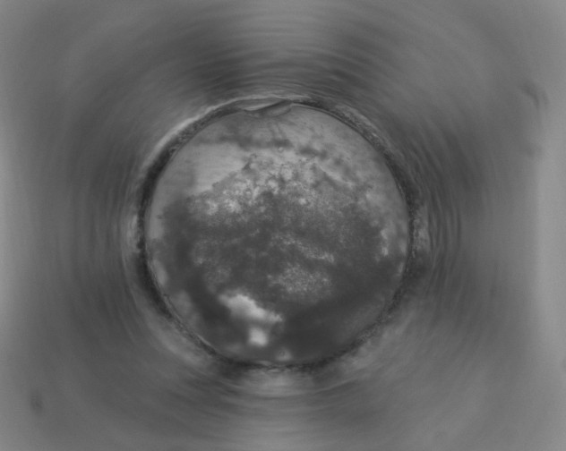 X0000113550351200910161439