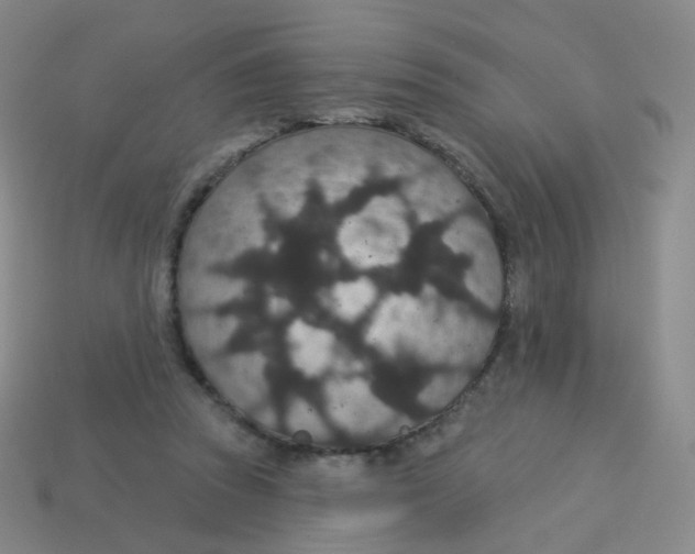 X0000113550353200910161439