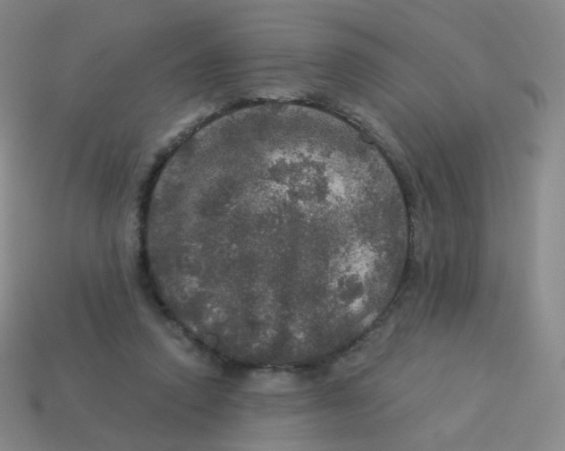 X0000113550354200910161439