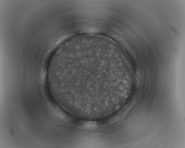 X0000113550355200910161439