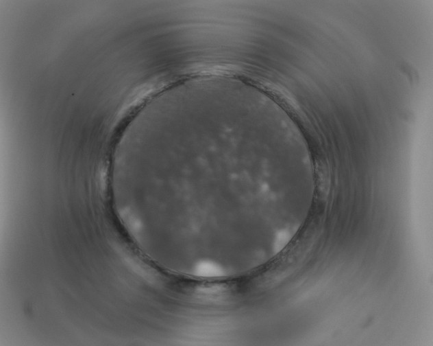 X0000113550357200910161439