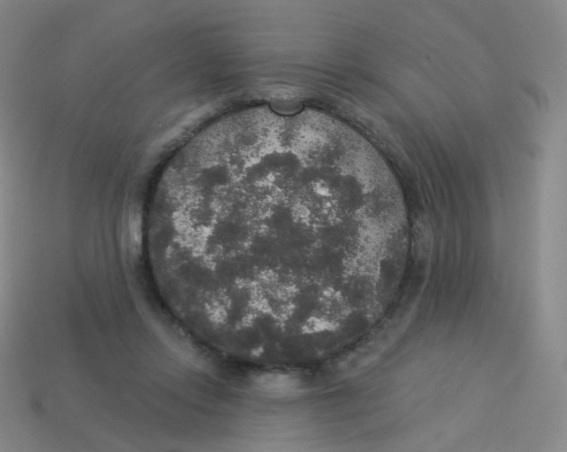 X0000113550358200910161439