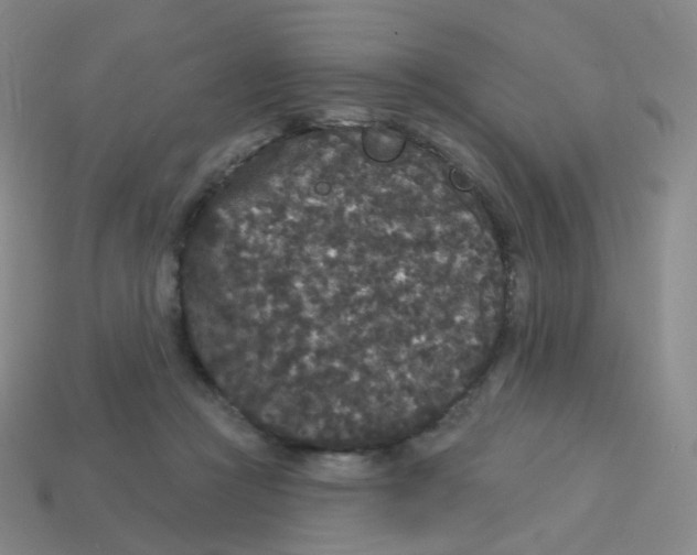 X0000113550361200910161439