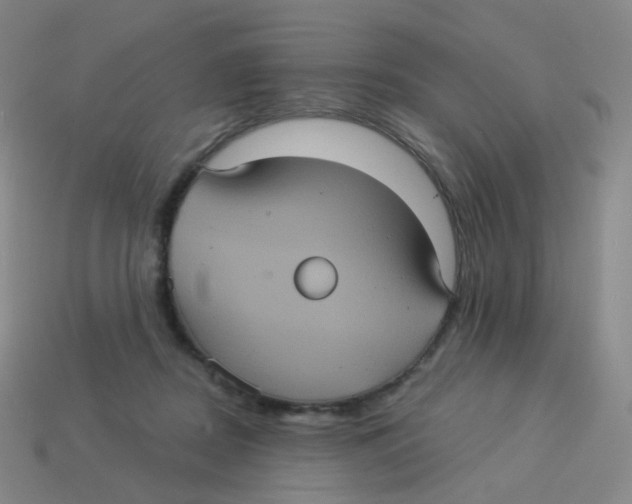 X0000113550362200910161439