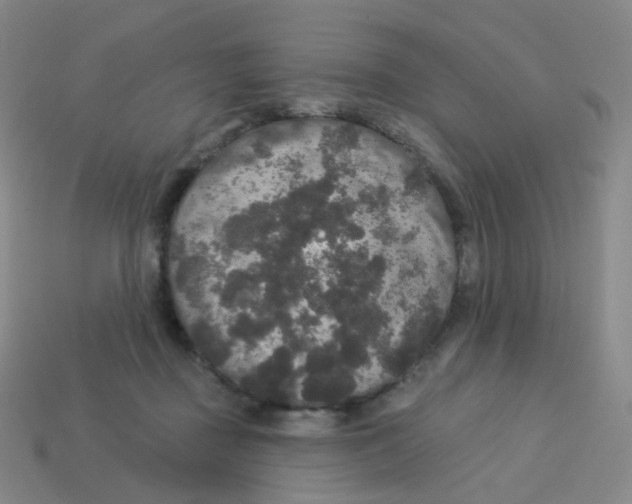 X0000113550363200910161439