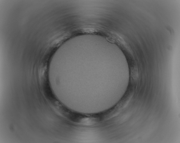 X0000113550364200910161439