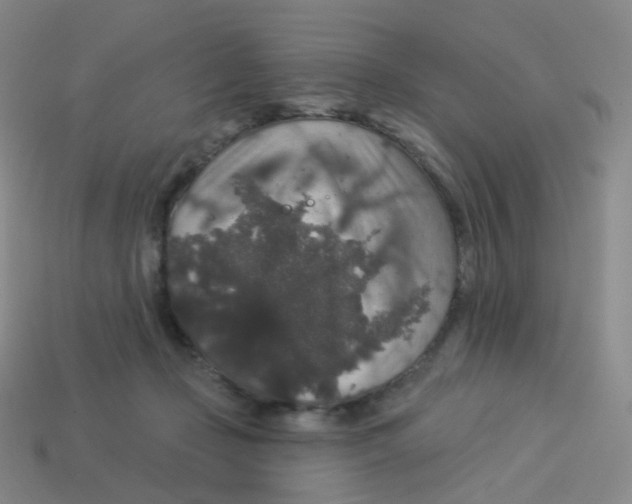 X0000113550365200910161439