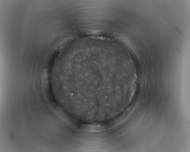 X0000113550366200910161439