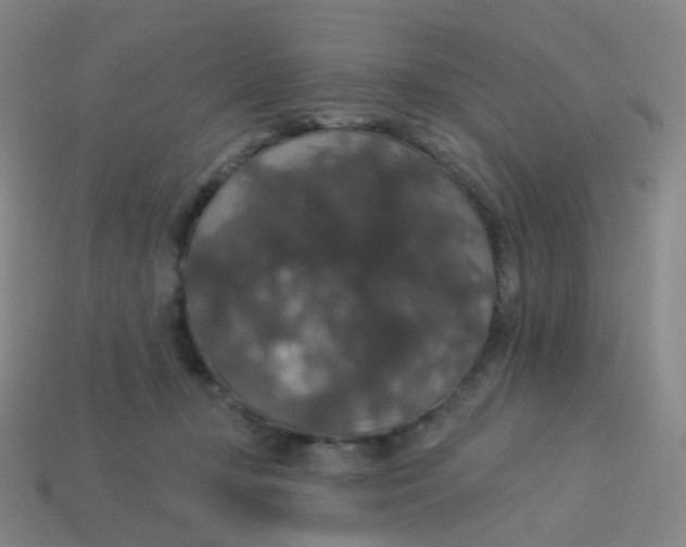 X0000113550367200910161439