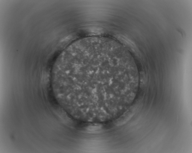 X0000113550369200910161439