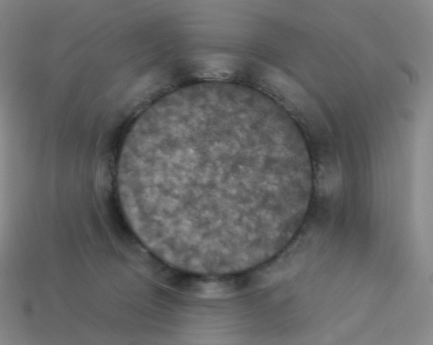 X0000113550370200910161439