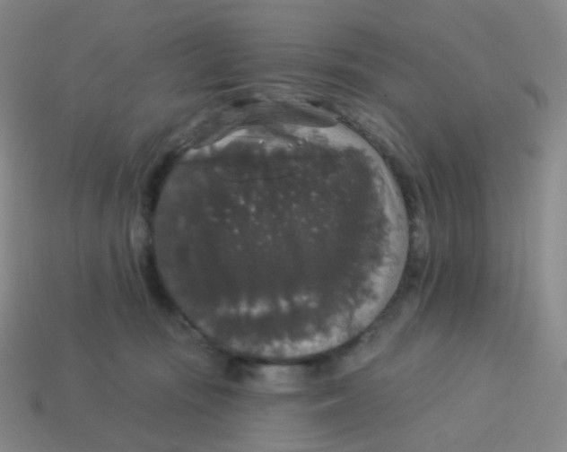 X0000113550371200910161439
