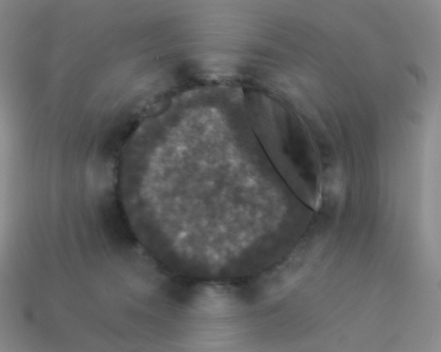 X0000113550372200910161439