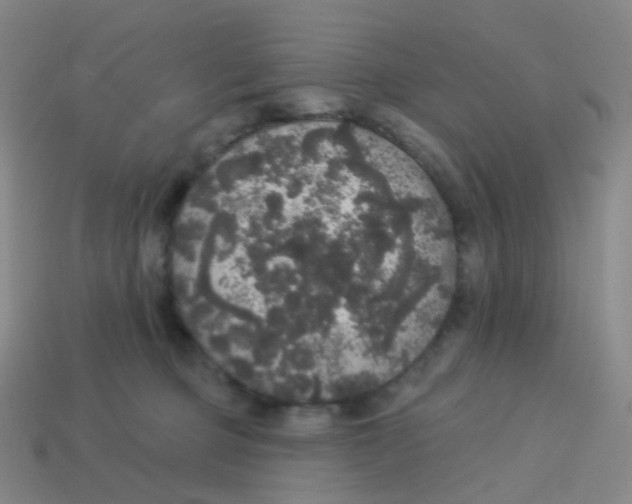 X0000113550373200910161439